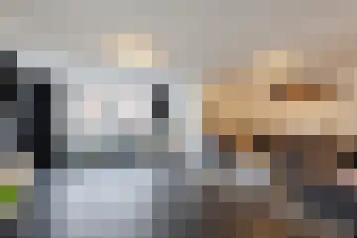 Rijksweg 48 Nieuwendijk thumbnail 15