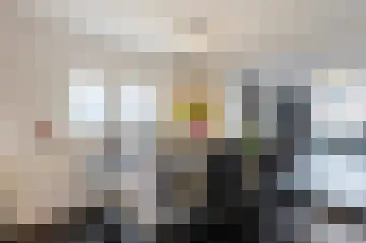 Rijksweg 48 Nieuwendijk thumbnail 17