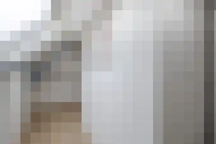 Rijksweg 48 Nieuwendijk thumbnail 25