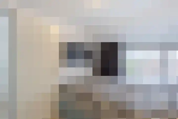 Rijksweg 48 Nieuwendijk thumbnail 29