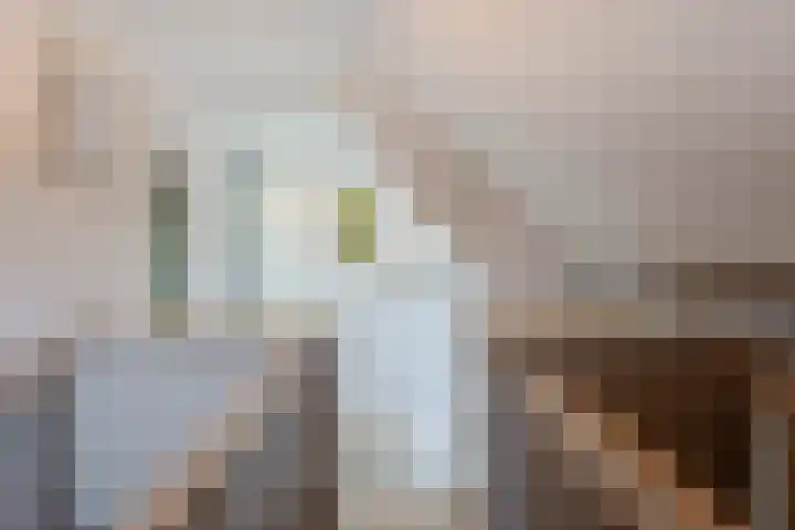 Rijksweg 48 Nieuwendijk thumbnail 31