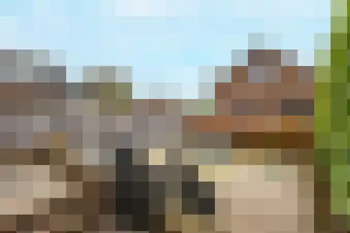 Rijksweg 48 Nieuwendijk thumbnail 34