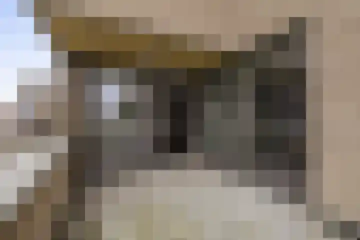 Rijksweg 49 A8 Reuver thumbnail 10