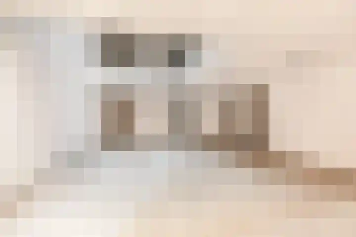 Rijksweg 49 A8 Reuver thumbnail 20