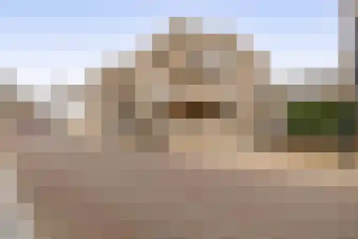 Rijksweg 49 A8 Reuver thumbnail 23