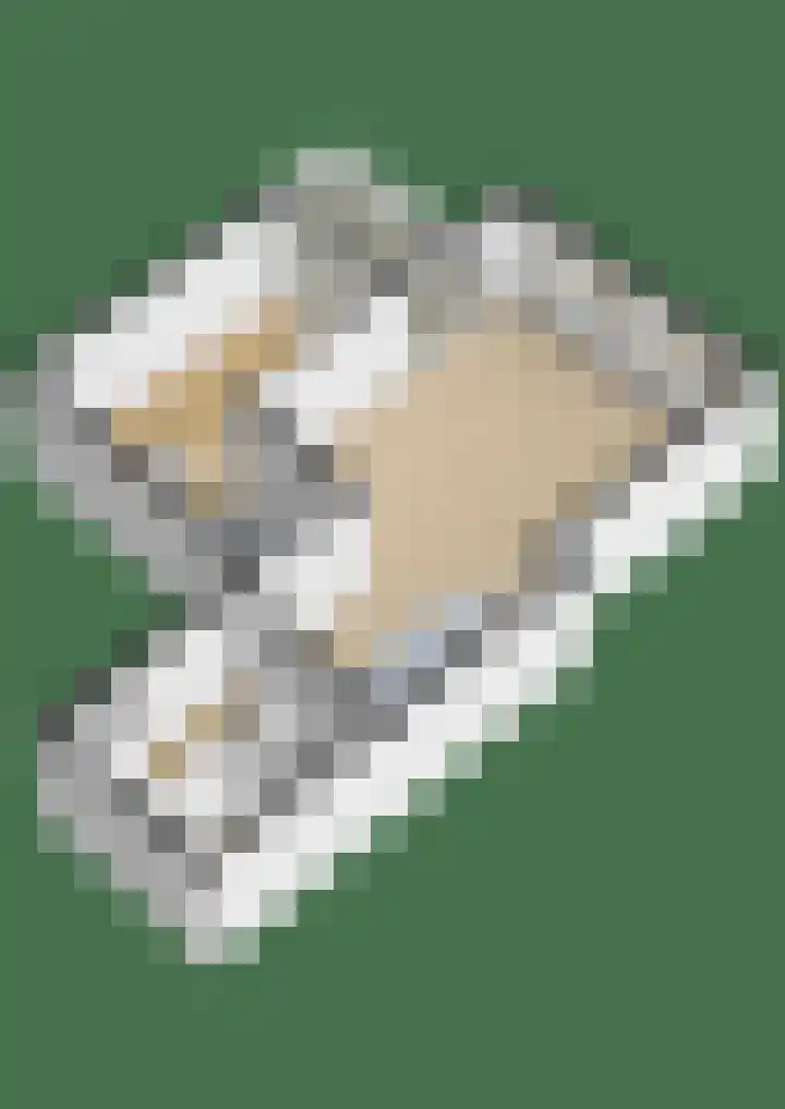 Rijksweg 49 A8 Reuver thumbnail 25