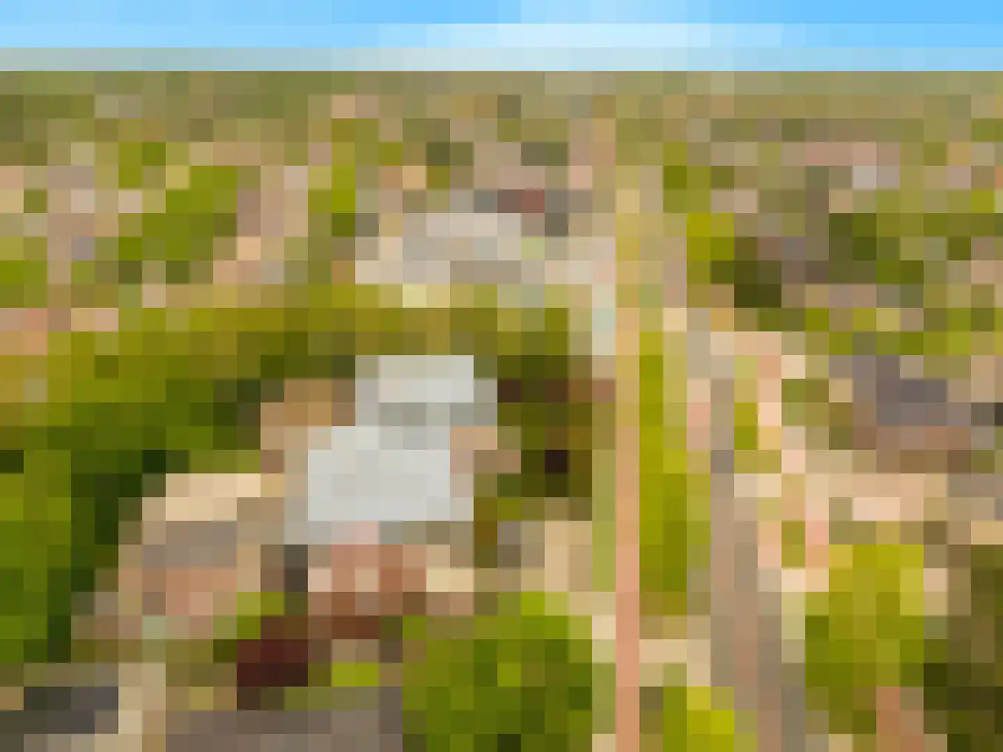 Rijksweg 49 d Limmen thumbnail 47