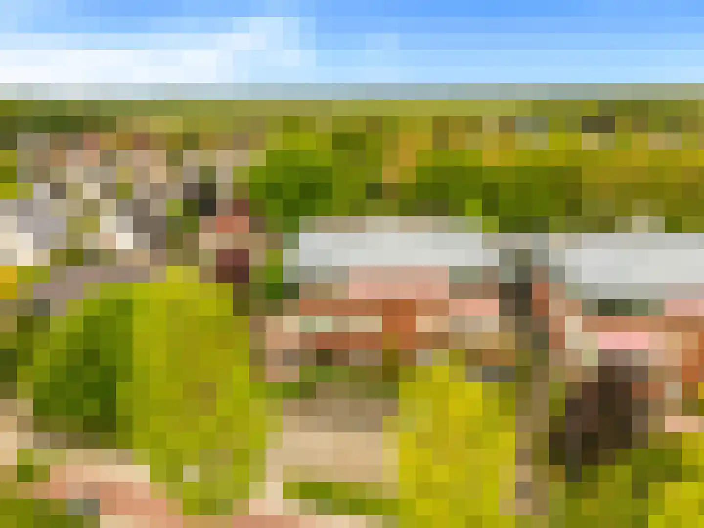 Rijksweg 49 d Limmen thumbnail 5