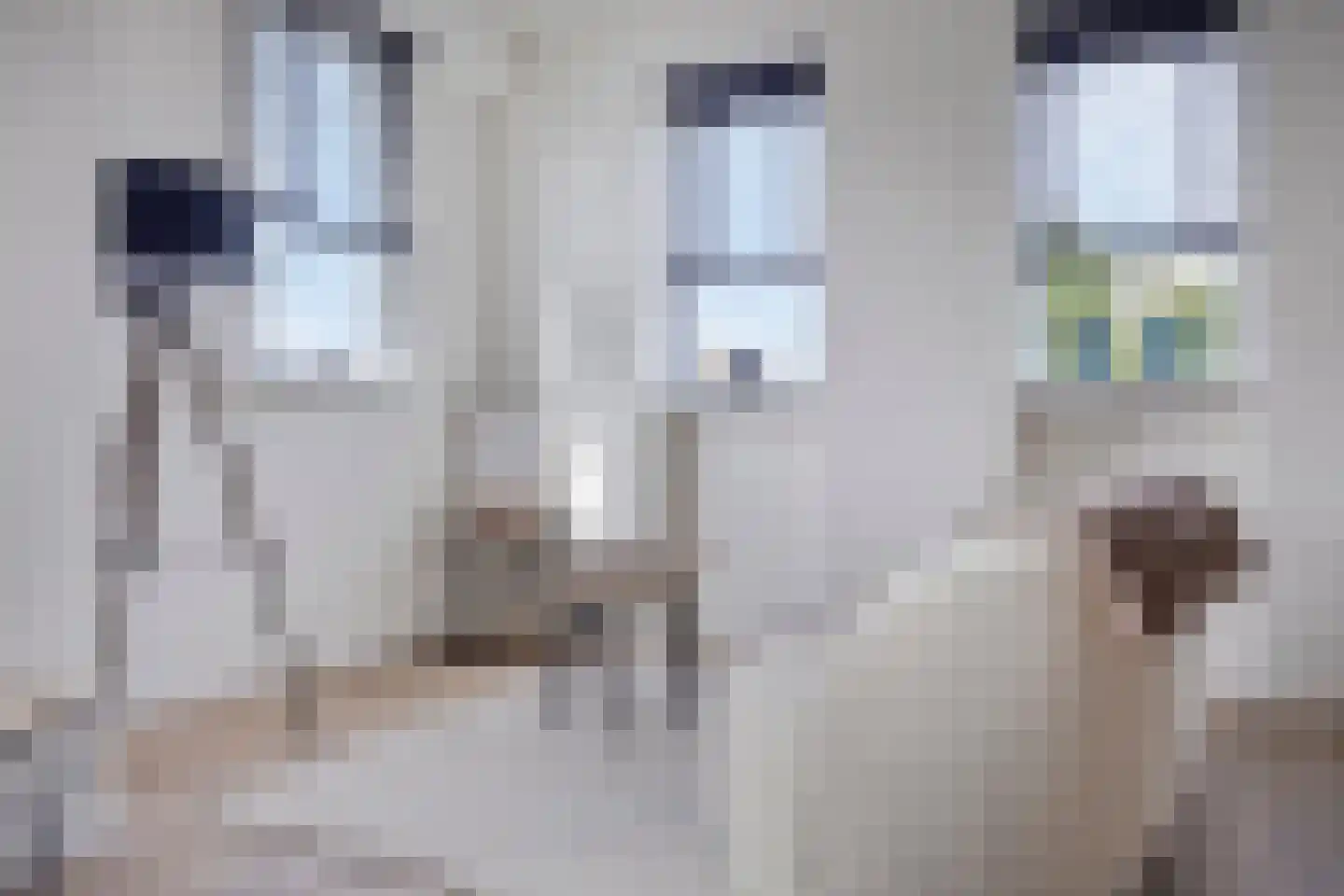 Rijksweg 5 b Molenhoek thumbnail 12