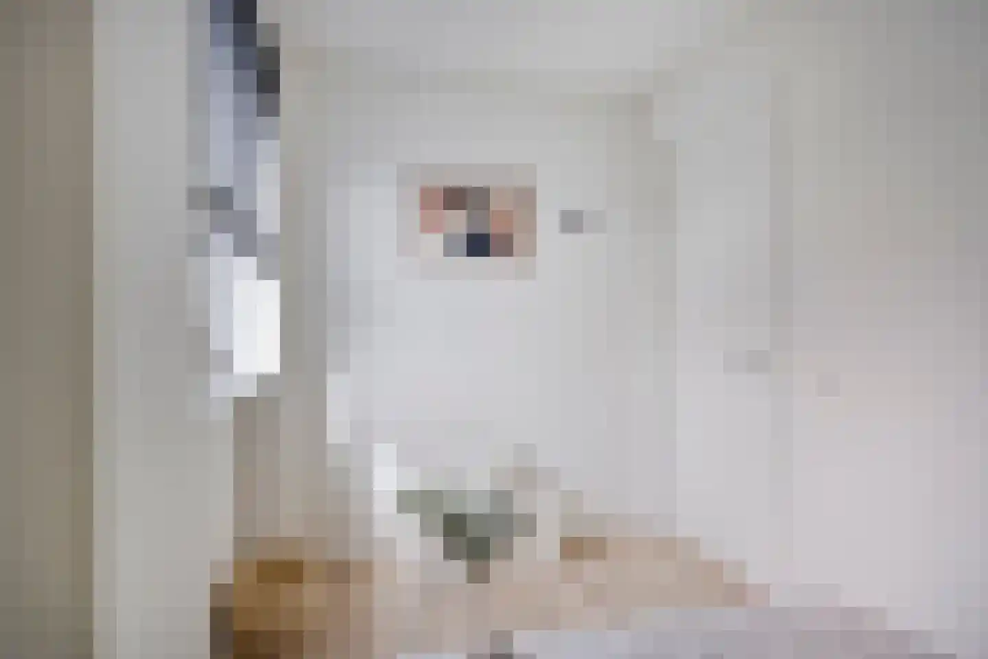 Rijksweg 5 b Molenhoek thumbnail 20
