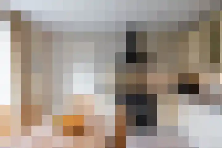 Rijksweg 5 Garmerwolde thumbnail 17