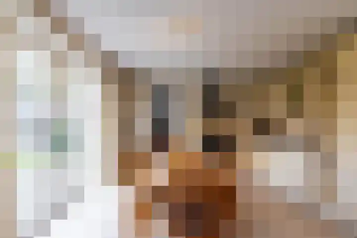 Rijksweg 5 Garmerwolde thumbnail 18