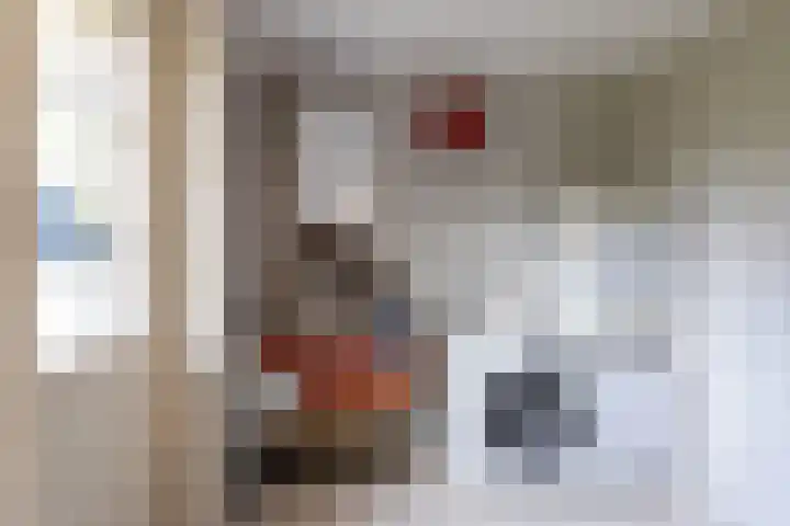 Rijksweg 5 Garmerwolde thumbnail 19