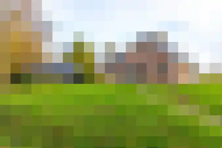 Rijksweg 5 Garmerwolde thumbnail 4