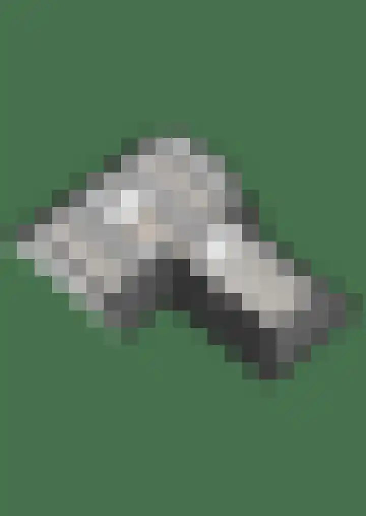 Rijksweg 5 Garmerwolde thumbnail 42