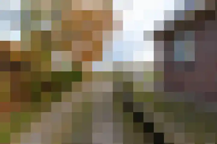 Rijksweg 5 Garmerwolde thumbnail 43
