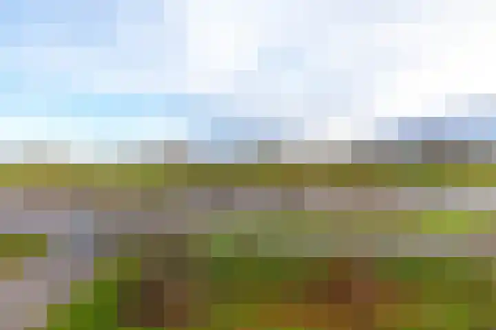 Rijksweg 5 Garmerwolde thumbnail 45