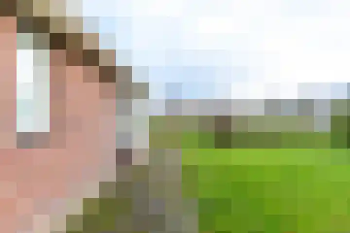 Rijksweg 5 Garmerwolde thumbnail 46