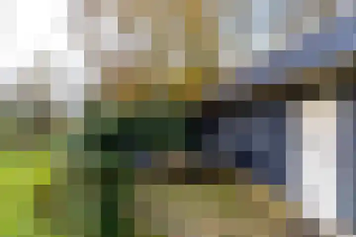 Rijksweg 5 Garmerwolde thumbnail 49