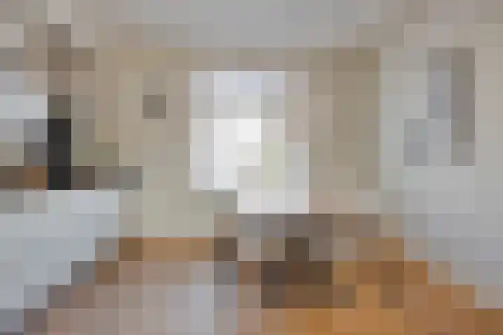 Rijksweg 5 Maastricht thumbnail 13
