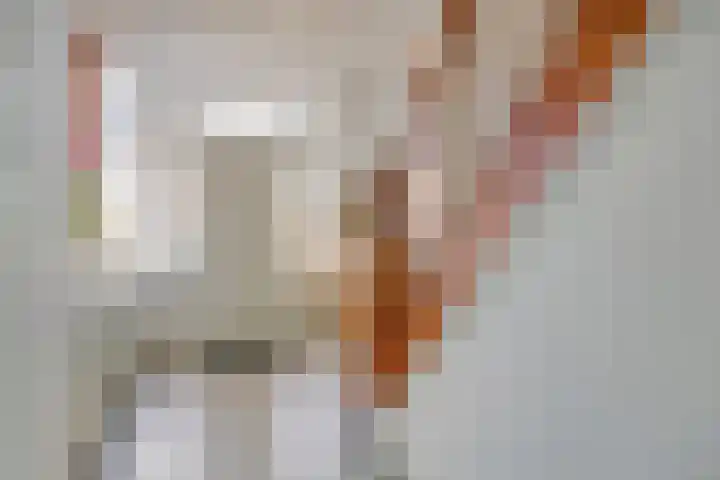 Rijksweg 5 Maastricht thumbnail 17