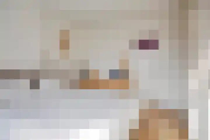 Rijksweg 5 Maastricht thumbnail 19