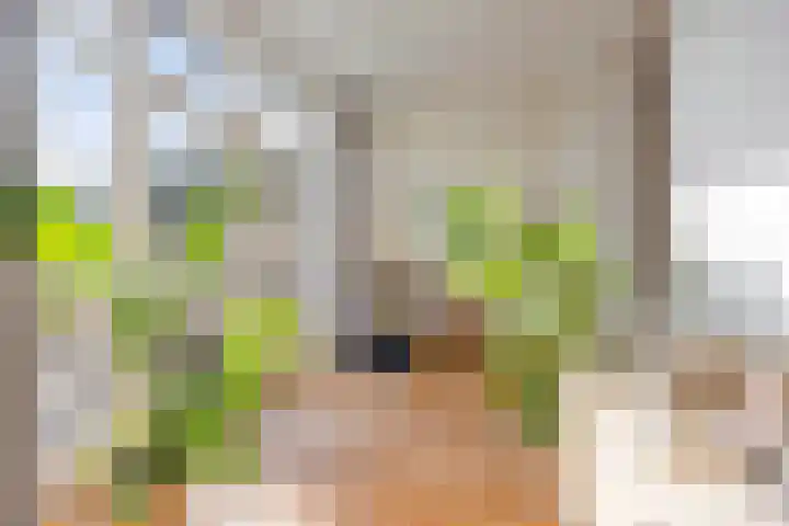 Rijksweg 5 Maastricht thumbnail 7