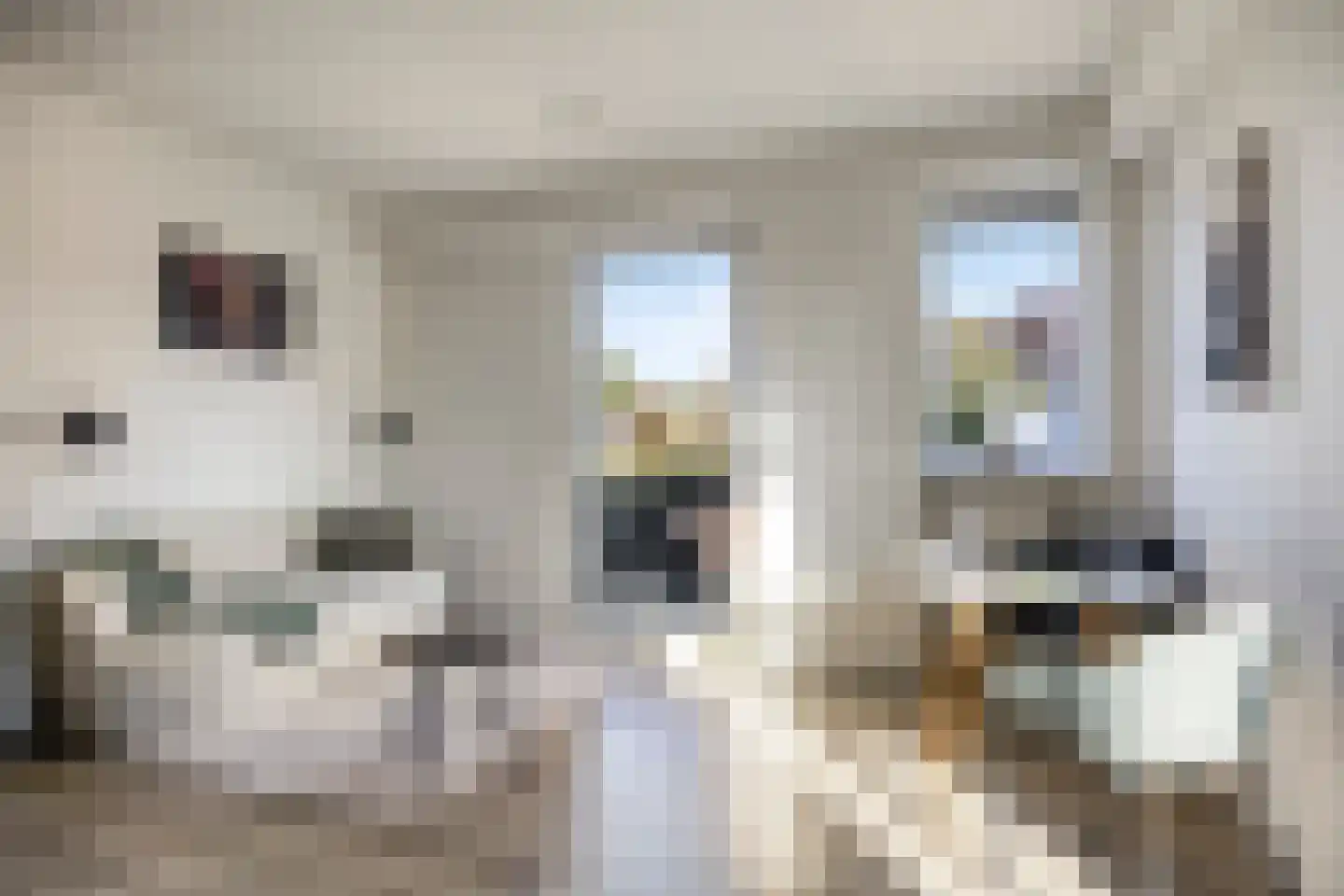 Rijksweg 5 Molenhoek thumbnail 11