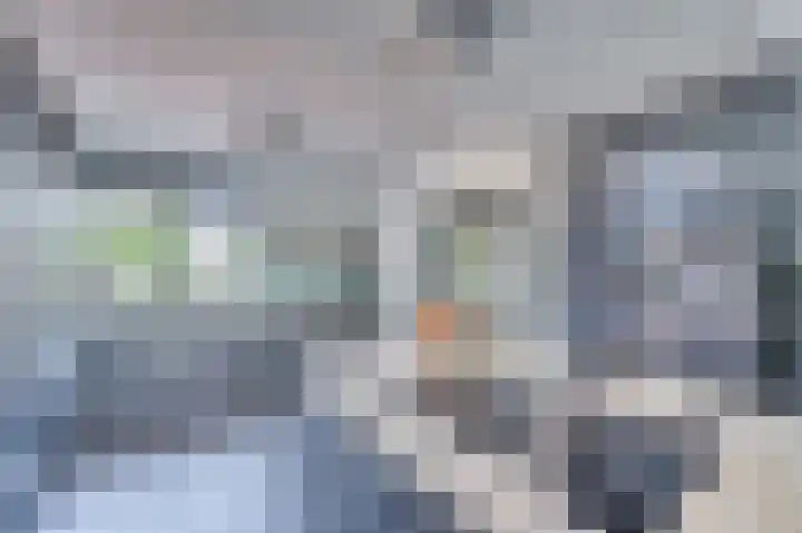 Rijksweg 5 Velden thumbnail 14