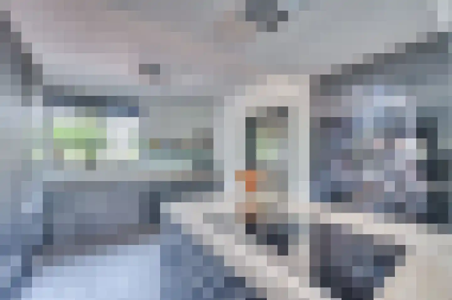 Rijksweg 5 Velden thumbnail 14