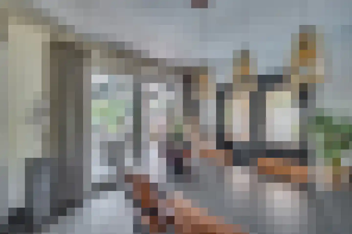 Rijksweg 5 Velden thumbnail 17