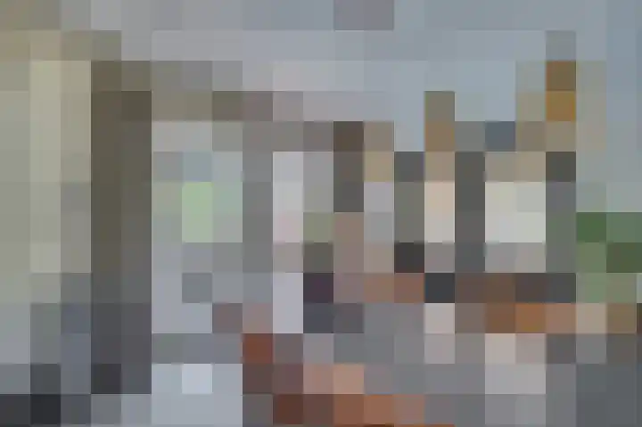 Rijksweg 5 Velden thumbnail 17
