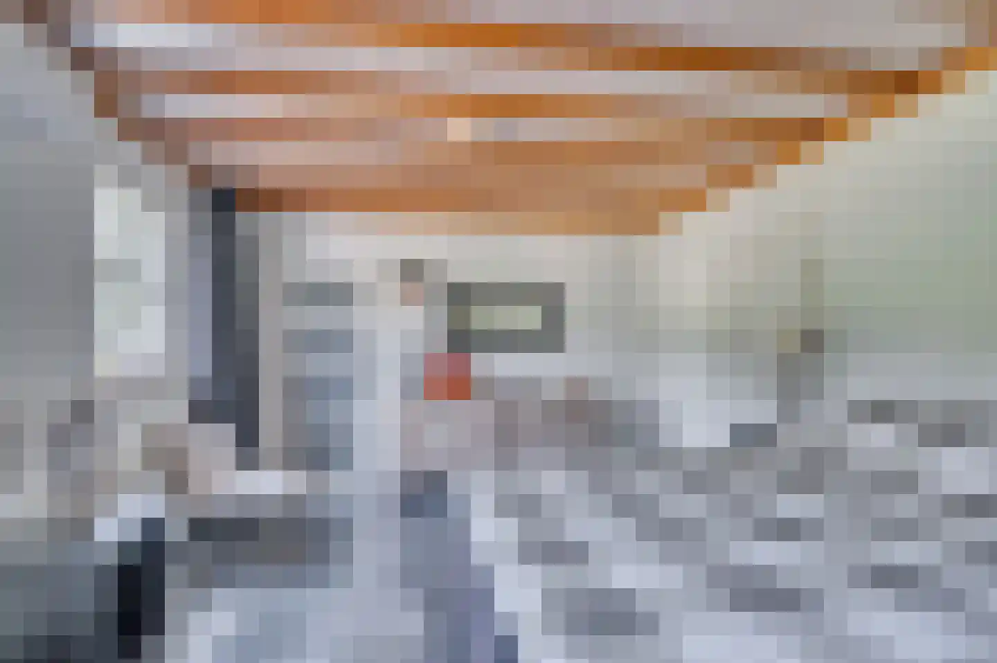 Rijksweg 5 Velden thumbnail 20