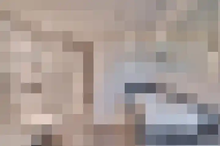 Rijksweg 5 Velden thumbnail 22