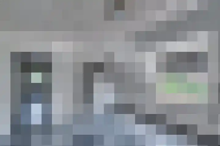 Rijksweg 5 Velden thumbnail 24