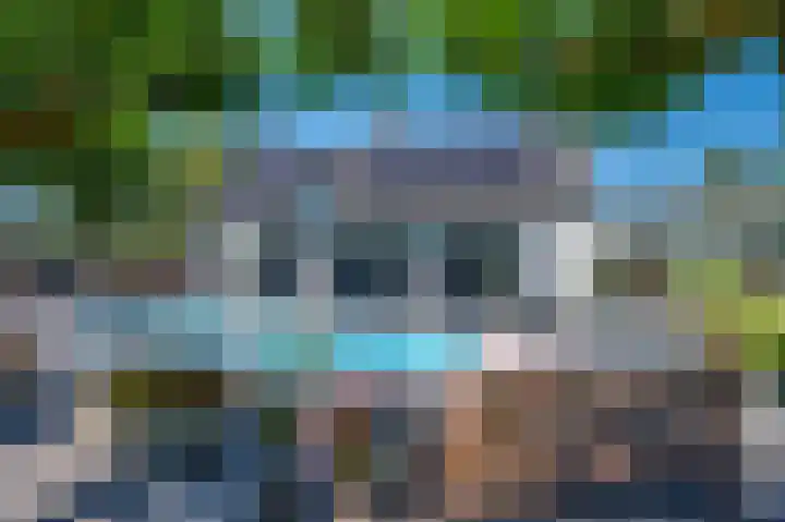 Rijksweg 5 Velden thumbnail 30