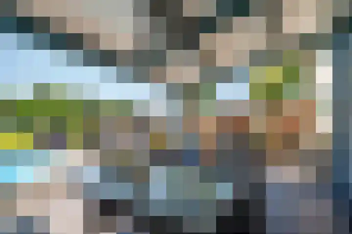 Rijksweg 5 Velden thumbnail 31