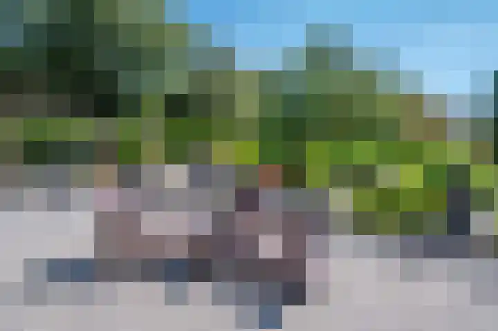 Rijksweg 5 Velden thumbnail 33