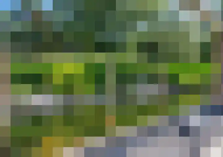 Rijksweg 5 Velden thumbnail 34