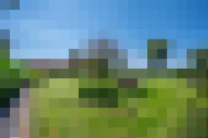 Rijksweg 5 Velden thumbnail 38