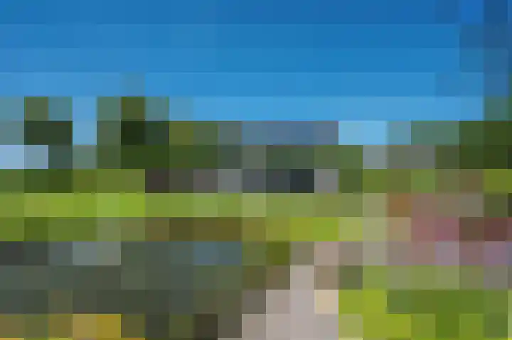 Rijksweg 5 Velden thumbnail 39
