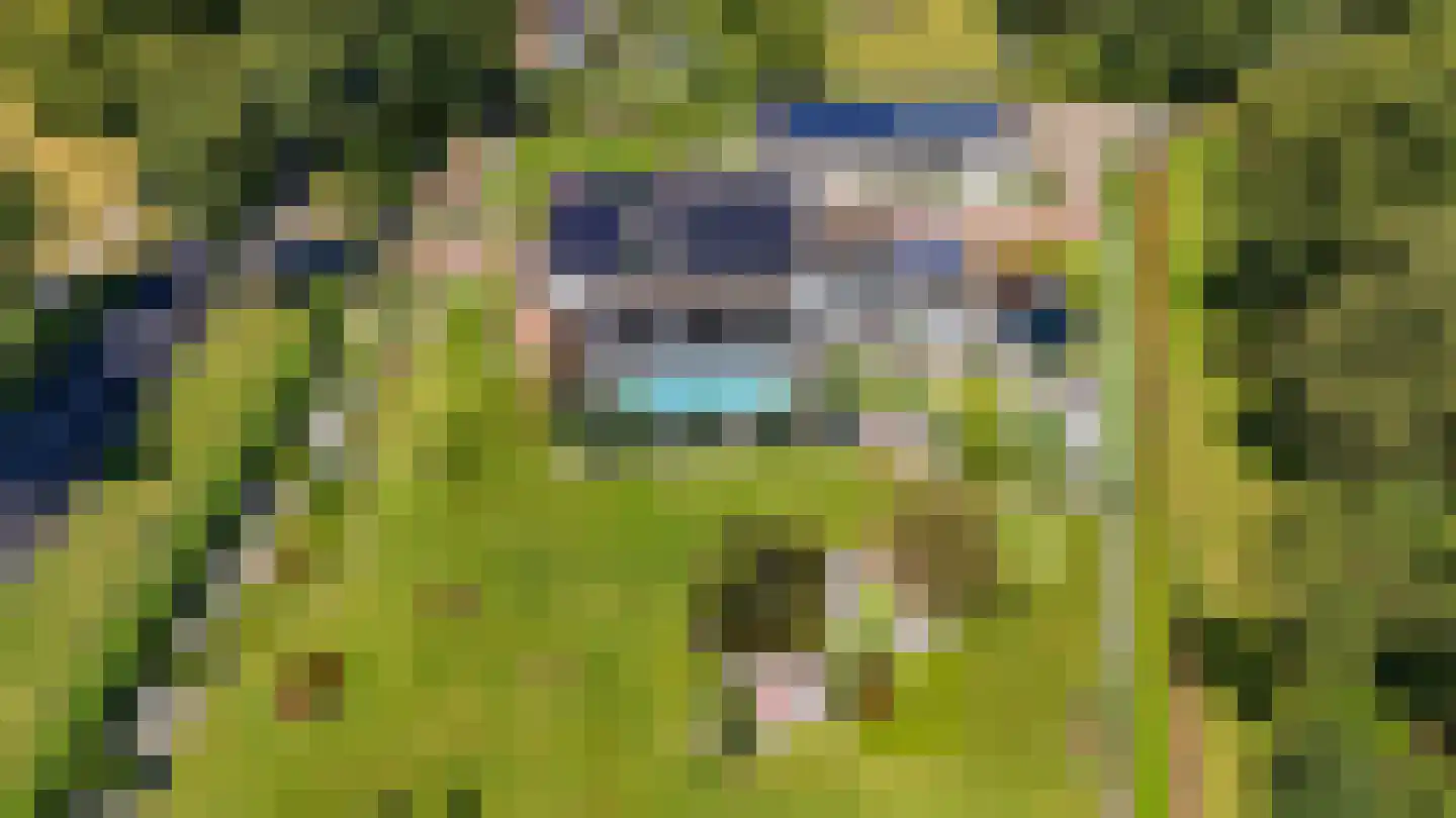 Rijksweg 5 Velden thumbnail 4