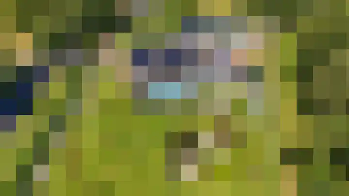 Rijksweg 5 Velden thumbnail 4