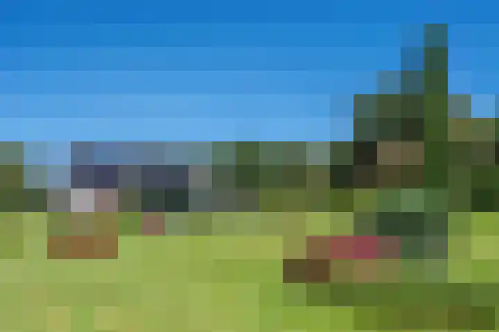 Rijksweg 5 Velden thumbnail 40