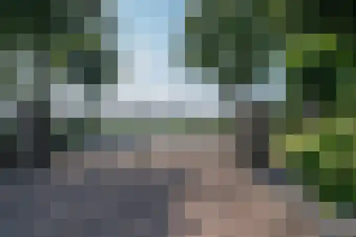 Rijksweg 5 Velden thumbnail 50