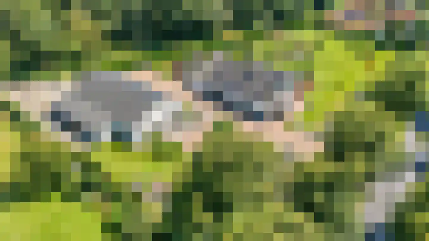 Rijksweg 5 Velden thumbnail 69