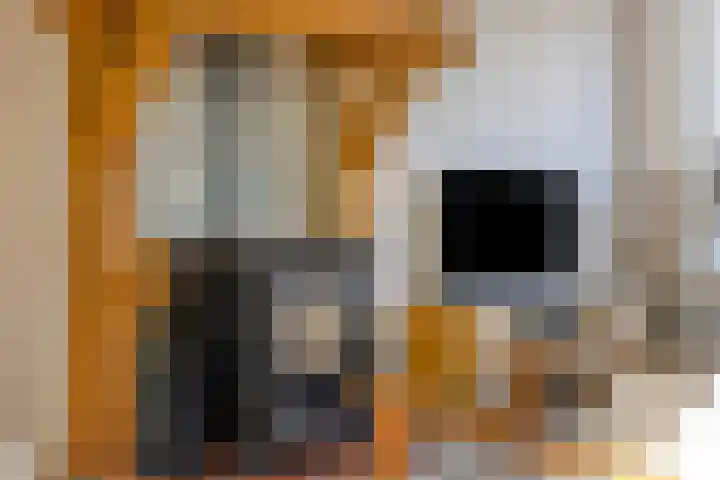 Rijksweg 51 Empe thumbnail 11