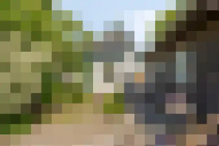 Rijksweg 51 Empe thumbnail 42