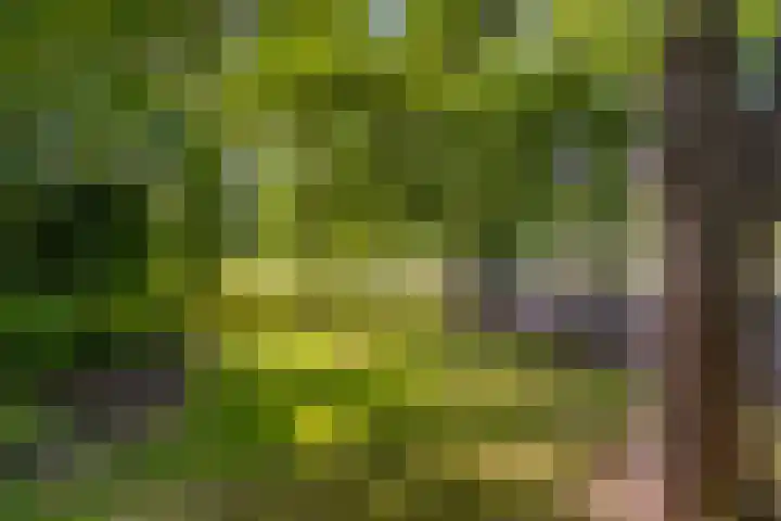 Rijksweg 51 Empe thumbnail 44