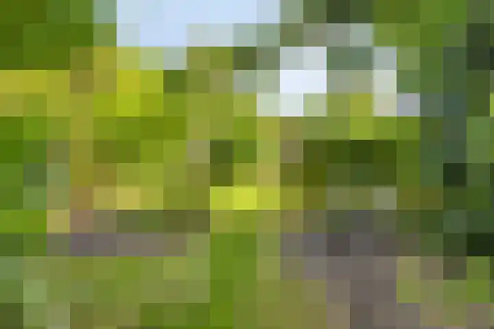 Rijksweg 51 Empe thumbnail 45